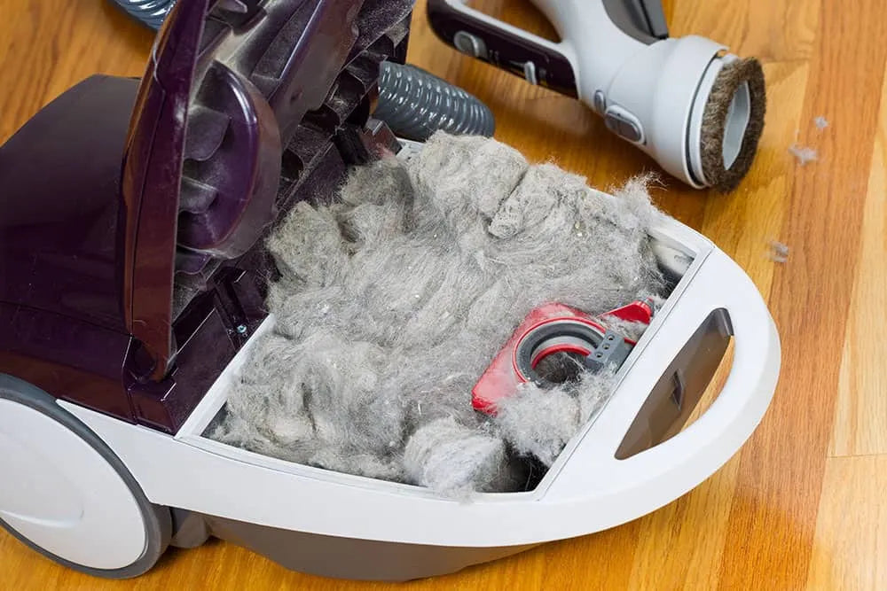 Vacuum Suction: What to Do When Your Vacuum Won't Suck or Has Lost Suction